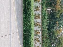 -重庆彩云湖湿地公园