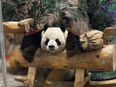 -临沂动植物园