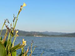 -东钱湖旅游度假区