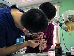 -北京观赏动物医院·24小时大型综合·猫专科·异宠专科