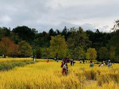 -塔川景区
