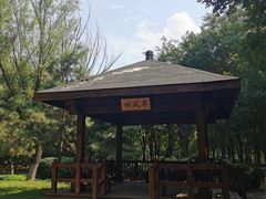 -大兴滨河森林公园