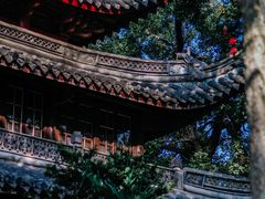 -天一阁博物院
