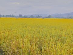 -宁波五龙潭景区
