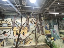 -小象动悟公园(龙湖亦庄天街店)