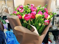 -双季花艺园艺市场(浦东店)