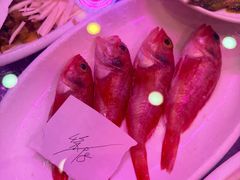 -红灯笼龙凤饭店(宁波老字号店)