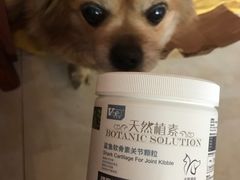 -瑞派长江宠物医院·猫科·外科·24小时夜护(谊城公寓分院)