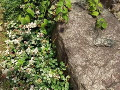 -黄公望隐居地