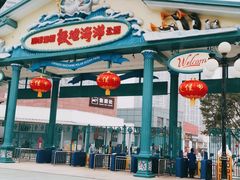 -海合安成都极地海洋公园