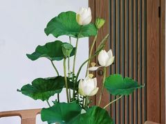 -青年公社烤鸭(宝杨宝龙广场店)