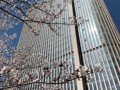 -无锡新湖铂尔曼大酒店