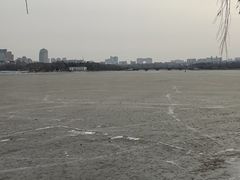 -长春市南湖公园