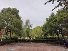 -老鳖私房菜(常青花园店)