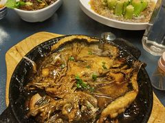 铁板鲈鱼-鸿禧大清花(方庄店)