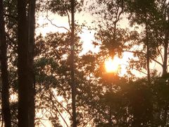 -水濂山森林公园