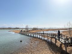 -野鸭湖国家湿地公园