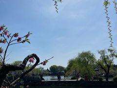 -无锡蠡湖国家湿地公园-蠡园