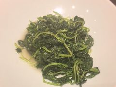 清炒时蔬-新光酒家·河豚·海鲜·蟹料理(浦东店)