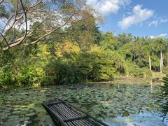 -中国科学院西双版纳热带植物园