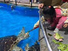 -泉城欧乐堡海洋极地世界