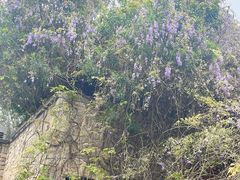 -时间仓(月湖公园店)