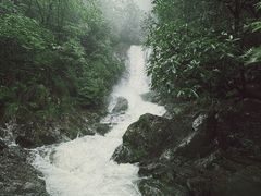 -东天目山风景区