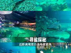 -香港海洋公园