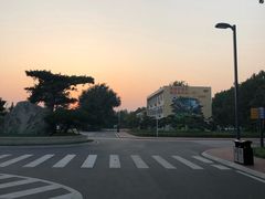 -山东鲁能乒乓球学校