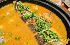 Human Harmony Carp Dish