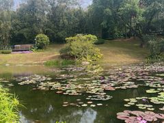-云溪植物园