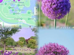 -上海辰山植物园