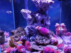 -太平洋海底世界