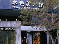 -苏州本色美术馆