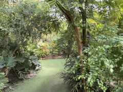 -呀路古热带植物园