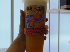 霸气小确杏-奈雪的茶(金地广场店)