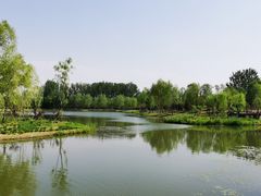 -东郊湿地公园