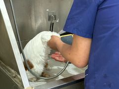 -萌兽医馆·绝育·24小时内科·宠物医院(德胜店)