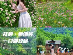 -参仙谷生态旅游度假区