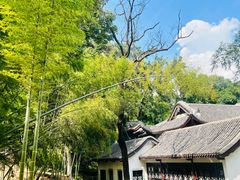 -岳麓山风景名胜区