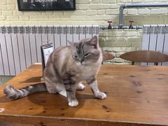 -雕刻时光·咖啡·酒吧·西餐(香山店)