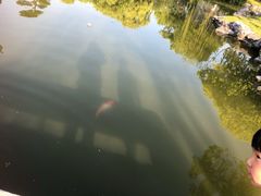 -泰州凤城河风景区-泰山公园