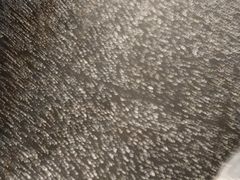 -洪氏嗨捞·猪肚鸡火锅(阳光天地店)