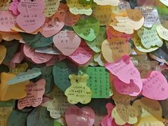 -宝旺姜母鸭(顶澳仔猫街店)