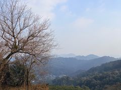 -十里琅珰