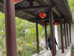 -上海醉白池公园