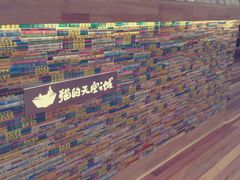 -猫的天空之城概念书店(印象城购物中心店)