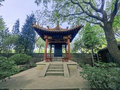 -碑林公园