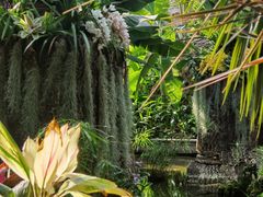 -北京植物园-展览温室