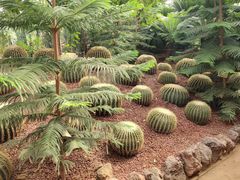 -呀路古热带植物园